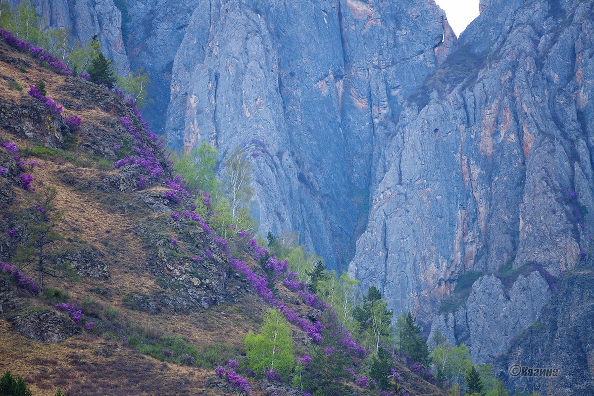 Ксения Круцких горный Алтай