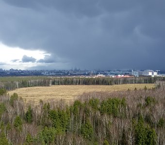 после дождя