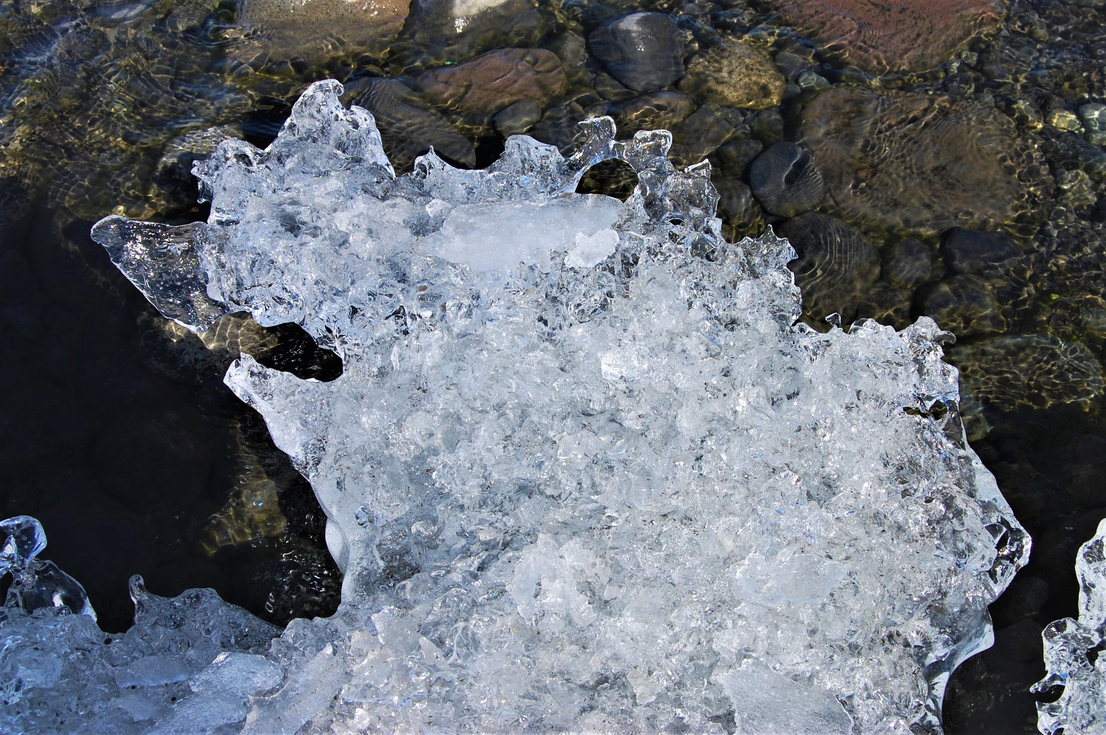 Ледяной ежик...