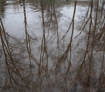 Дождливый день во дворе.