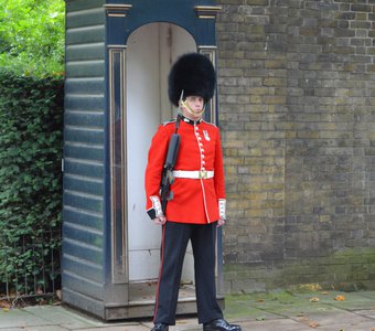 Стражи Букингемского дворца