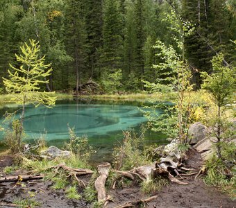 Осень на берегу озера