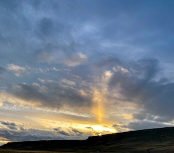 Patagonian Sunbeam