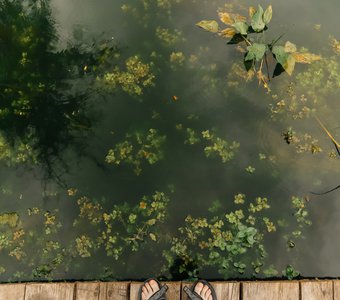 Тёмная вода