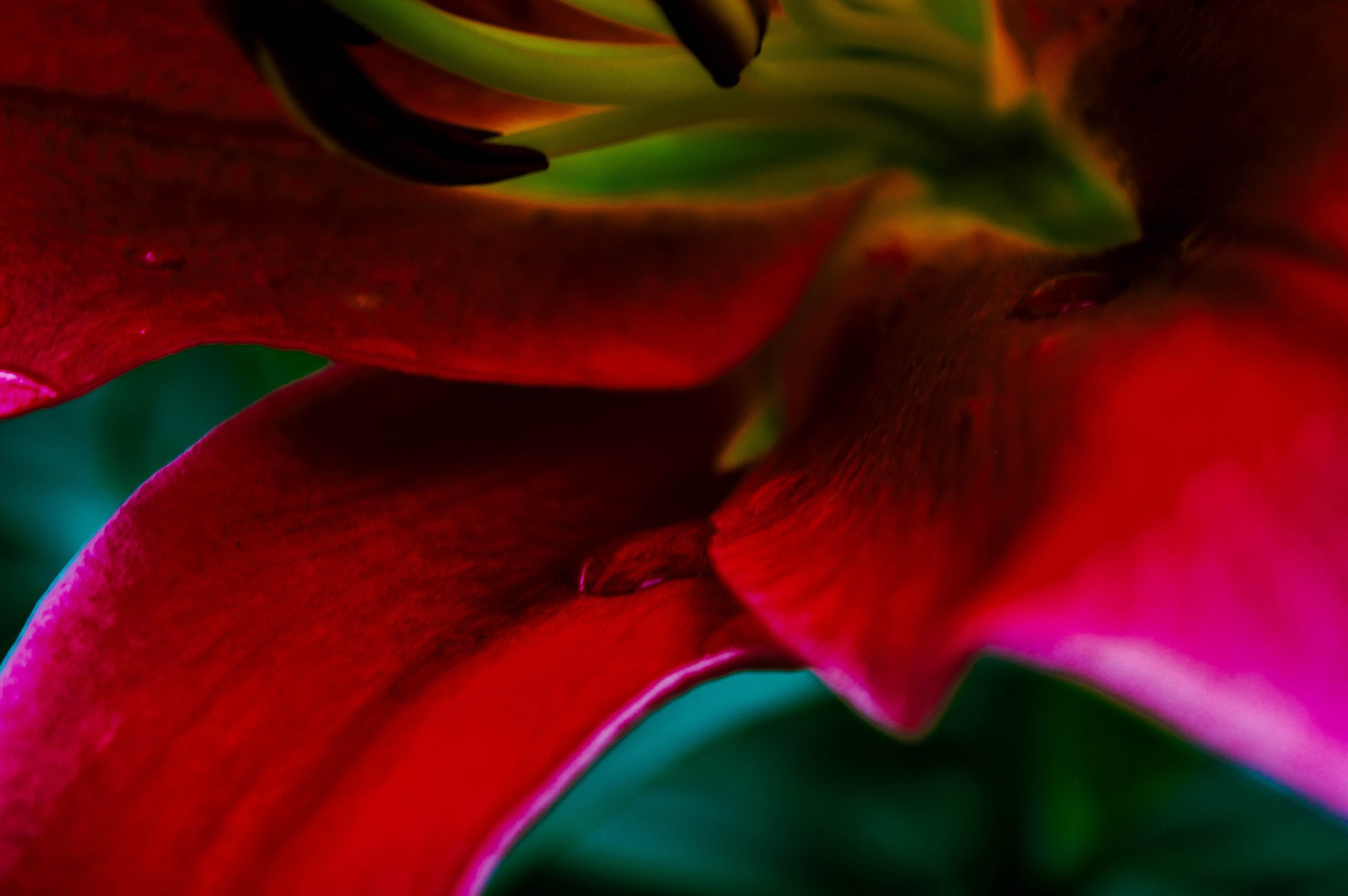 После дождя