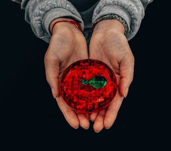 Будущее в наших руках 2