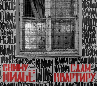 Фотография номер 8