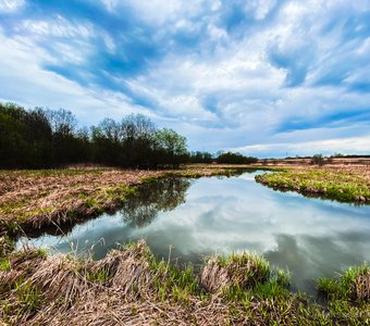 Расплескалась