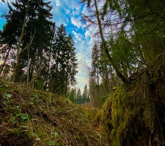 Тишина и спокойствие