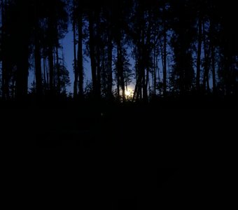 Никтофилия - любовь к ночи