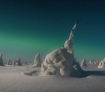 "Звездный десант"