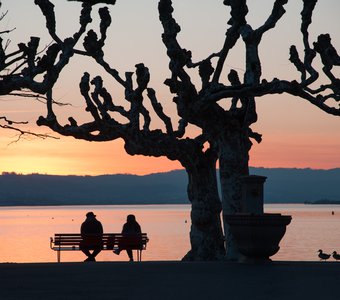 Evening on the lake