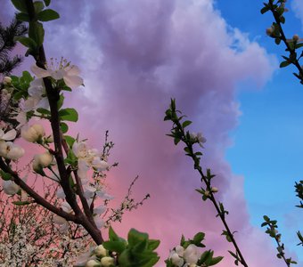 Весна без фильтов