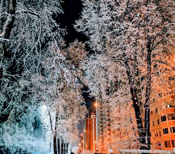 Ночь Подмосковье