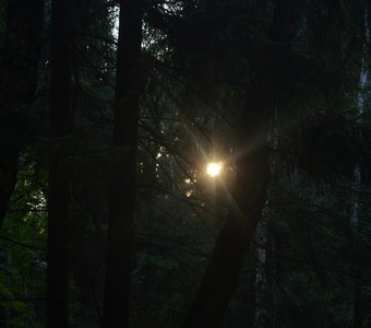 Луч солнца золотого