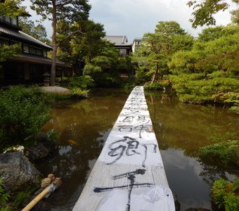 Иероглифы на воде