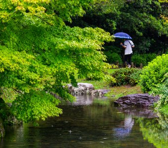 Прогулка под дождем в саду Рицурин, Такамацу
