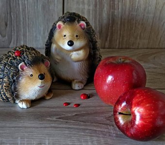 Ёжики и яблоки