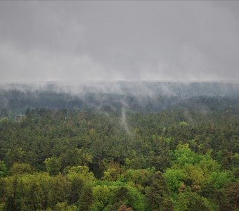 дыхание леса после майской грозы