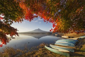 Россияне стоят в очередях на морозе за японской визой: скоро правила могут измениться