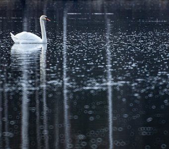 На воде