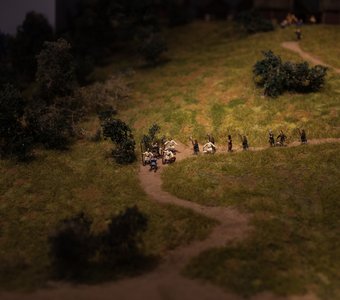 Войны в поле