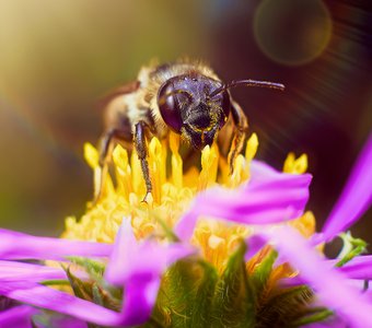 Доброе утро