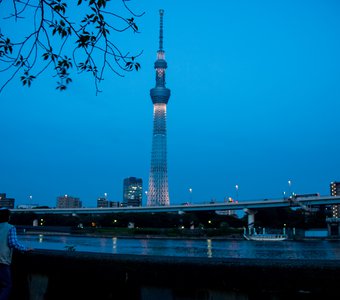 Вид на Tokyo Skytree