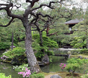 Японский сад - совершенный мир земной природы