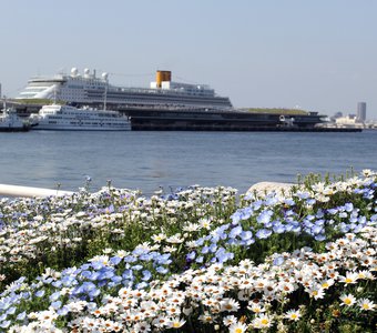 Порт города Йокогама