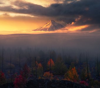 Kamchatka Rising