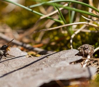 Видимо не угодил)