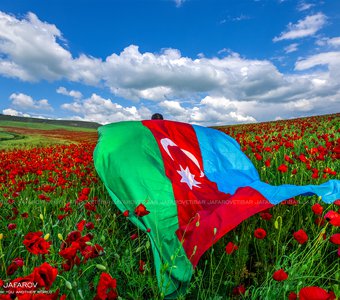 Весенние цветы Азербайджана