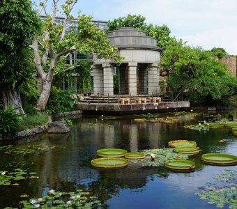 Красота и гармония с любовью и профессионализмом оформленного сада цветов Tropical Dream Center