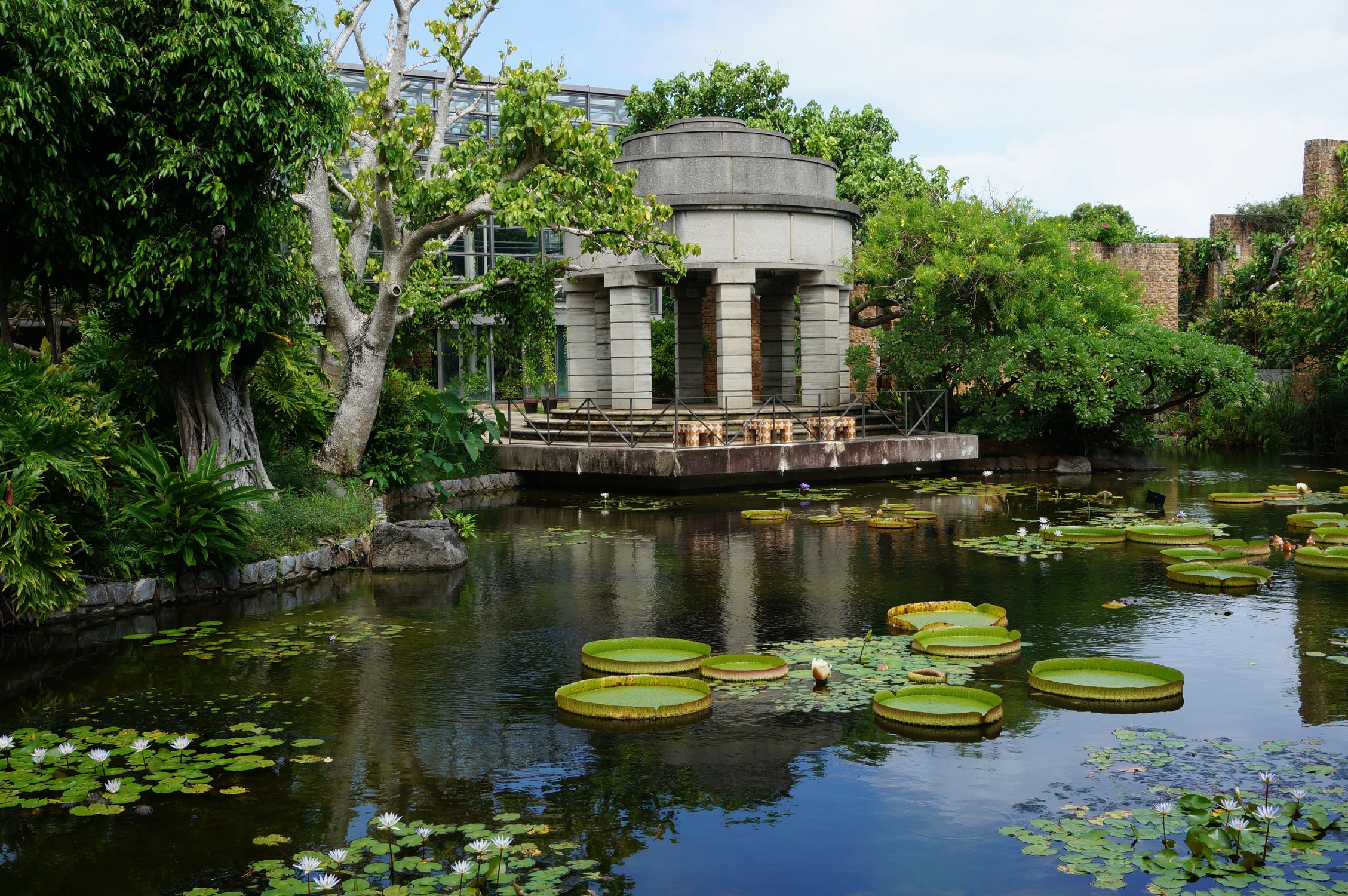 Красота и гармония с любовью и профессионализмом оформленного сада цветов Tropical Dream Center