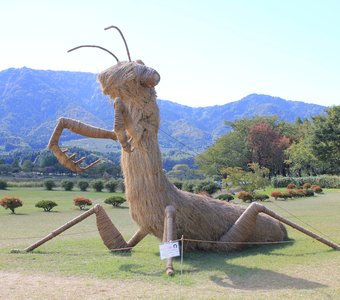 Гигантский богомол на фестивале соломенных скульптур в Ниигата