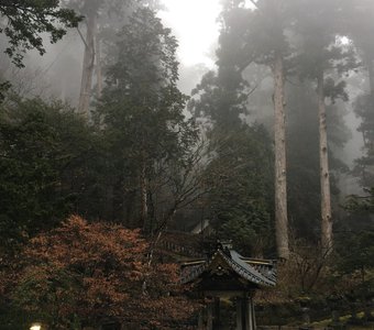 На ступенях у мавзолея Иэясу Токугавы
