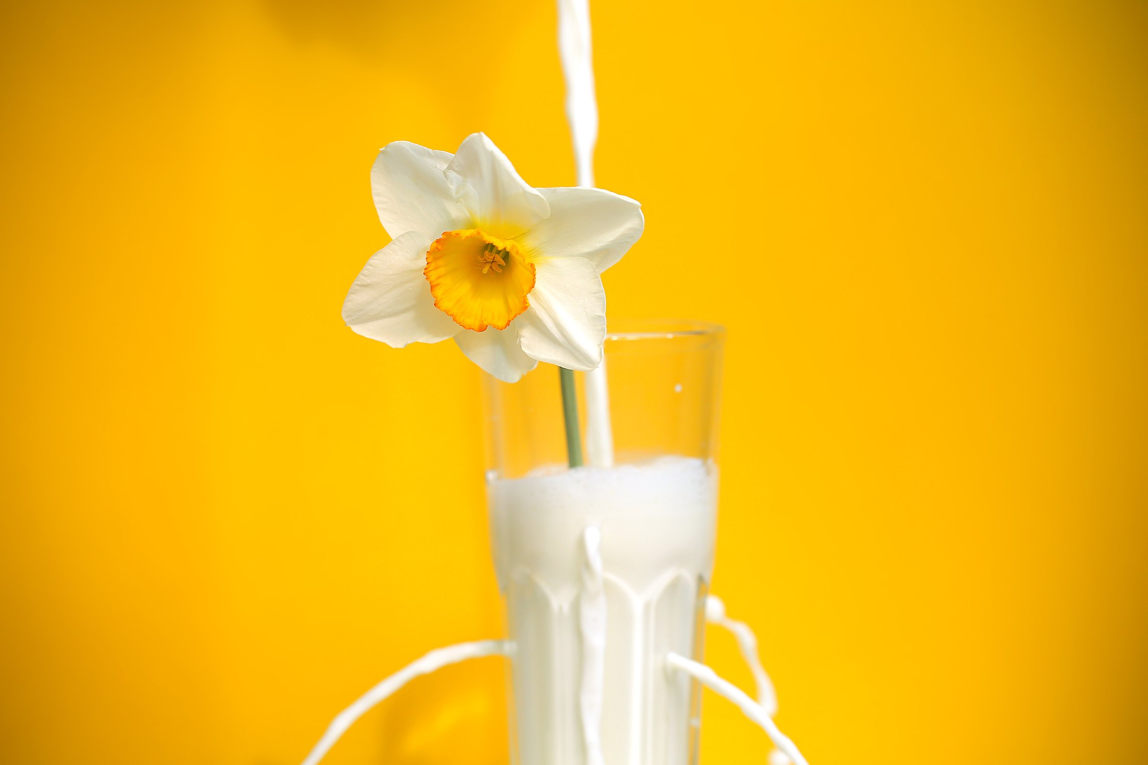 весна в молоке