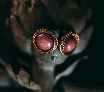 Артишоковая история