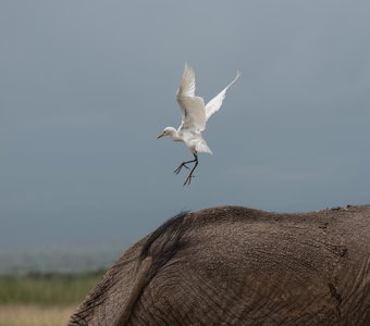 Запасной аэродром