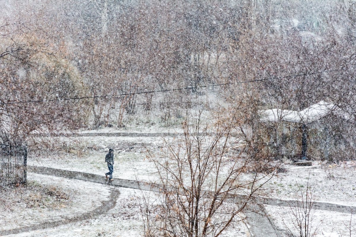 Апрельская метель