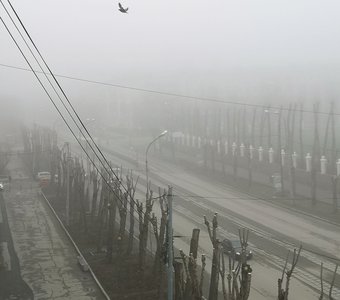 Утренний туман