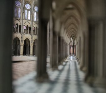 Арки Нотр-Дам де Пари