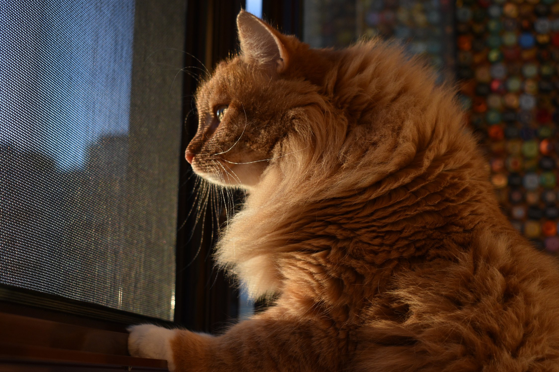 Когда хозяин в магазине уже целых 2 минуты.