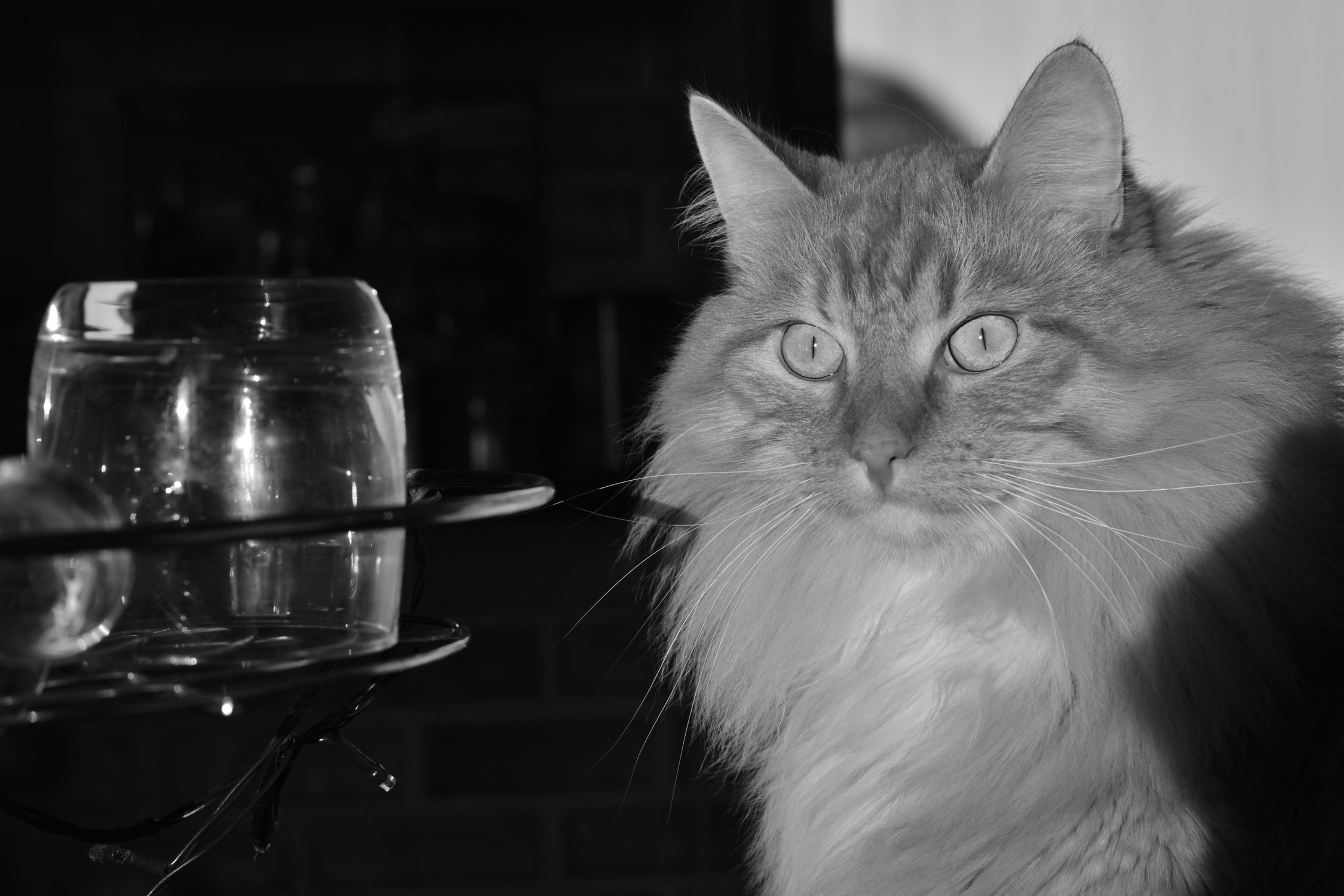 Как, опять сегодня все дома?