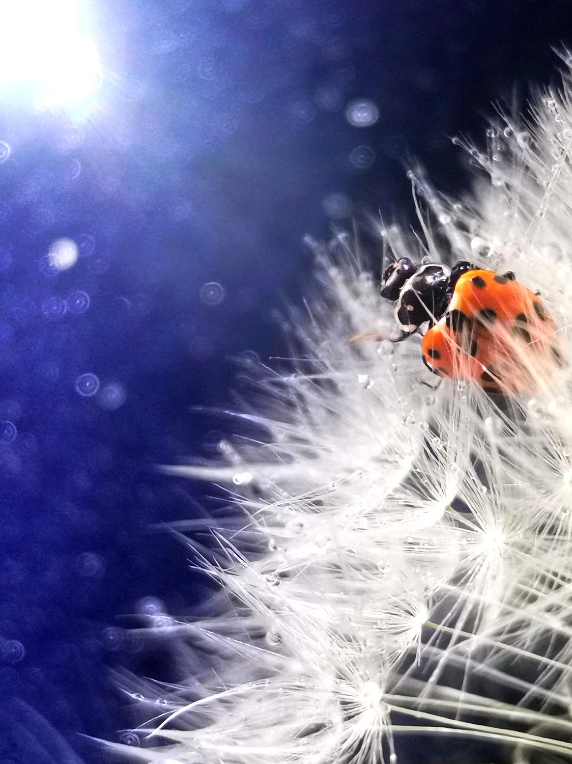 Свет других планет