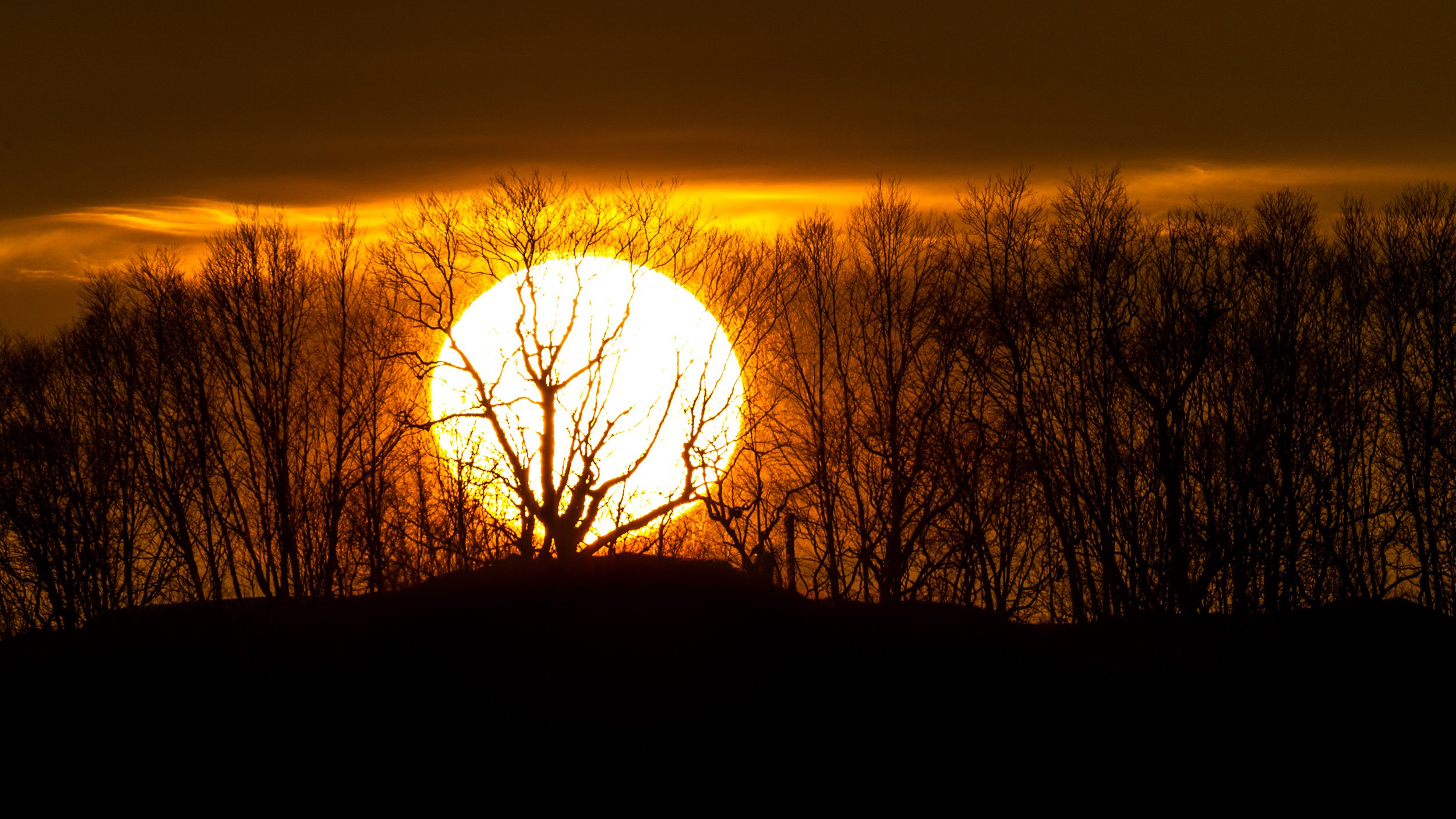 лес по соседству провожает закат