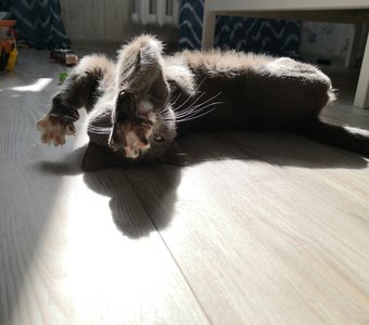 с детства на самоизоляции)