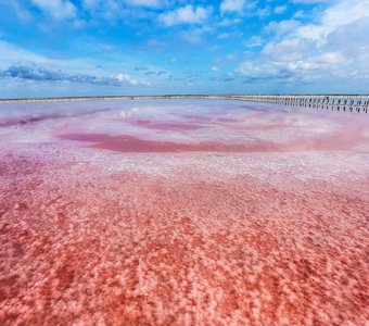 Розовое озеро Сасык Сиваш в Крыму.