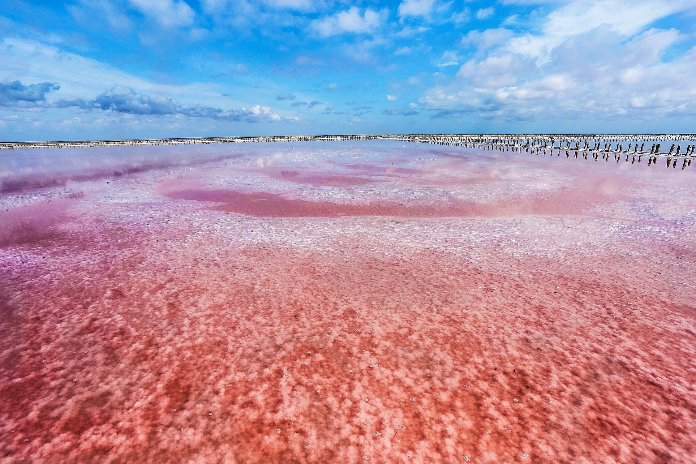 Розовое озеро сасык сиваш
